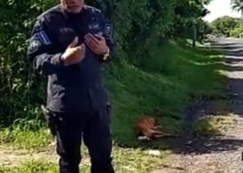 PNC arresta a agente que mató a un perro de un disparo en San Pedro Perulapán