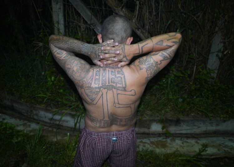 PNC y FGR ejecutan operativo para capturar terroristas en Soyapango, San Martín y Cuscatlán