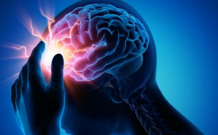 Descubren que el virus causante del covid-19 provoca la muerte de importantes células del sistema vascular cerebral