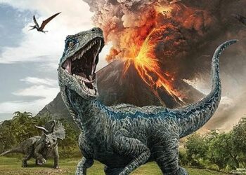 ¿Estamos cerca de una nueva extinción masiva de especies en la Tierra?: las señales de alerta