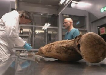 Encuentran a tres ‘parientes’ vivos de una momia suiza del siglo XVIII