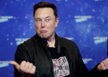 Elon Musk comparte un meme y su creadora de 28 años lo vende como NFT en dos días por casi 20.000 dólares