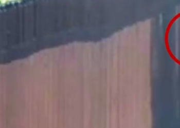 (VIDEO) Un contrabandista abandona a una niña salvadoreña de 7 años tras cruzar con una cuerda el muro fronterizo entre México y EE.UU.