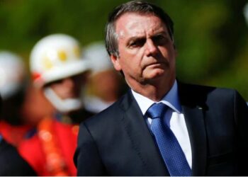 Una ONG austríaca denunció a Bolsonaro ante la CPI por crímenes contra la humanidad por deforestación de la Amazonia