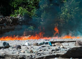 Droga valorada en más de $200,000 es destruida por la DAN y FGR