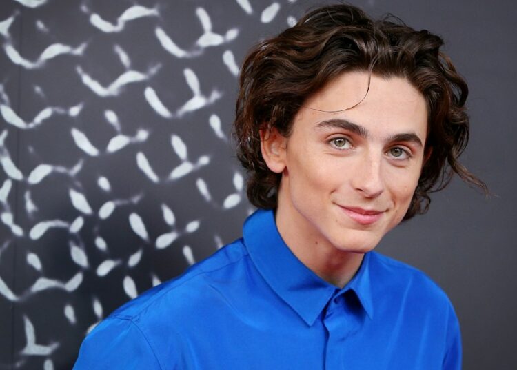 Timothée Chalamet releva a Johnny Depp y se convierte en el nuevo Willy Wonka