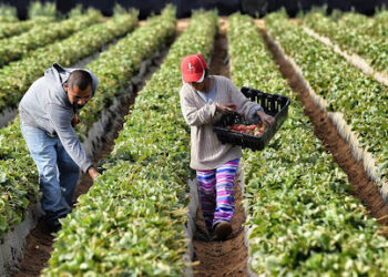 Ministerio de Trabajo premiará a empresas por buenas prácticas laborales