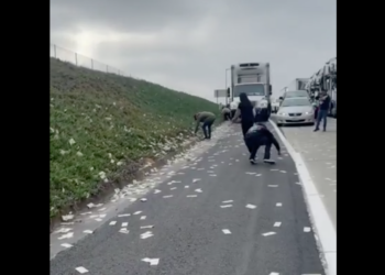 Bolsas con dinero caen en una autopista en EE.UU. y los automovilistas se lanzan a recoger los billetes esparcidos por la calzada