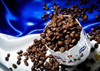 Asamblea aprobó normativa para la creación del Instituto Salvadoreño del Café