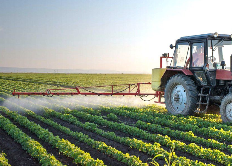 Gobierno invertirá 18.9 millones en sector agropecuario