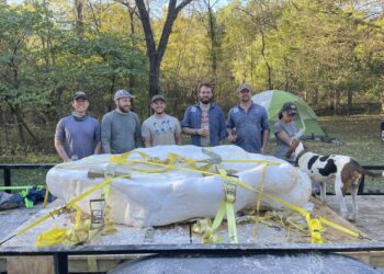 Aseguran haber descubierto los restos de una nueva especie de dinosaurio en EE.UU.