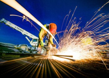 Inician los trabajos del hospital veterinario, «la primera obra pública del mundo en construirse con ganancias del bitcóin»