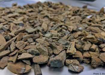 Descubren en una cueva siberiana los fósiles más antiguos conocidos hasta ahora de un misterioso linaje humano