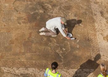 Descubren un «raro» mosaico romano enterrado en el campo de un agricultor en el Reino Unido