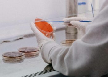 Detectaron un caso de viruela del mono en Maryland en una persona que acababa de llegar desde África