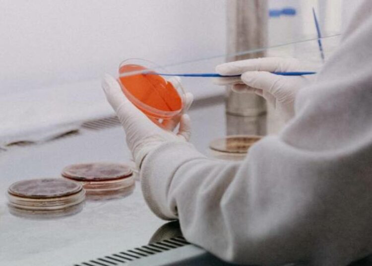 Detectaron un caso de viruela del mono en Maryland en una persona que acababa de llegar desde África