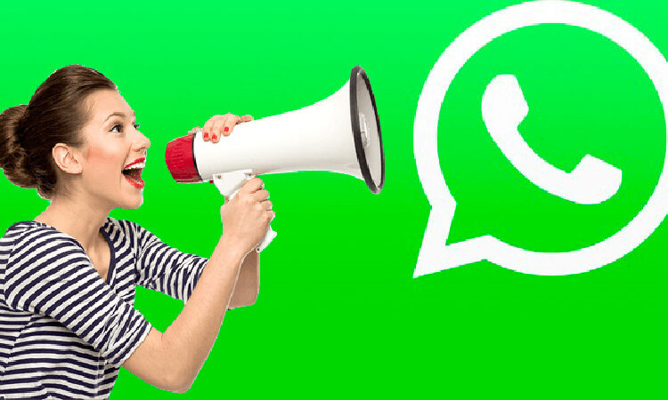 WhatsApp: descubra el truco para saber quién lo tiene agendado en sus contactos y no lo sabía