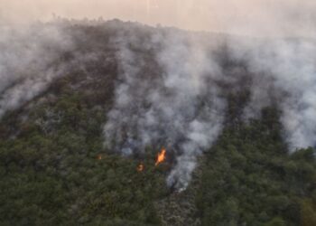 Declaran la emergencia ígnea por un año en Argentina mientras intentan controlar los incendios en la Patagonia
