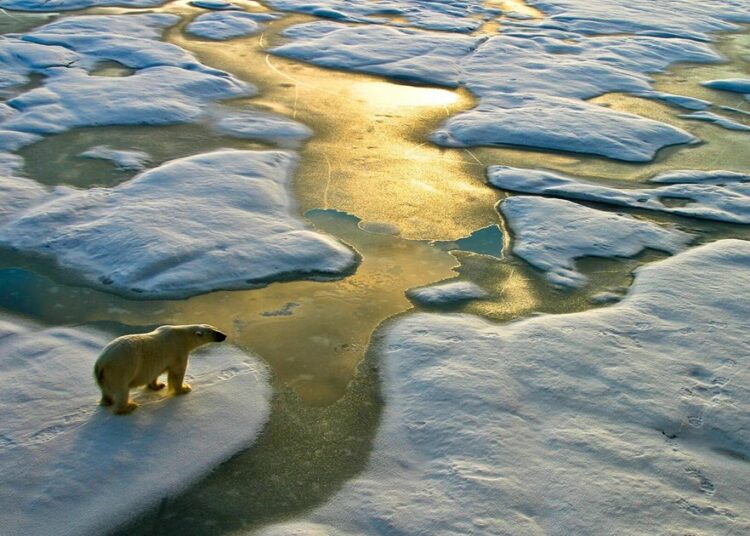 La ONU confirma el récord de calor en el Ártico