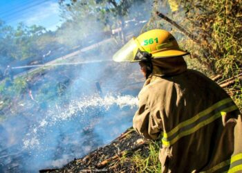(FOTOS) Bomberos controlan incendio registrado en cercanías del desvío a Santo Tomás