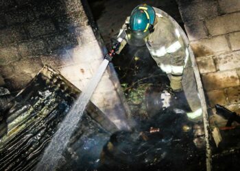 Bomberos sofocan incendio en terreno con maleza seca en San Salvador