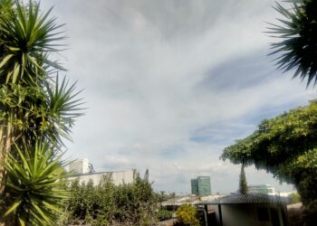 Viento levemente acelerado, posibilidades de lluvia y ambiente cálido para este día