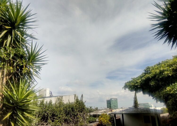 Viento levemente acelerado, posibilidades de lluvia y ambiente cálido para este día