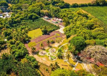 Inauguran el Parque de Aventuras Surf City Walter Thilo Deininger