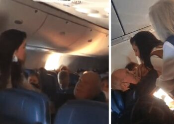 (VIDEO) Ex actriz de Baywatch y Playboy abofeteó y escupió a un pasajero en un vuelo de Delta por no usar cubrebocas