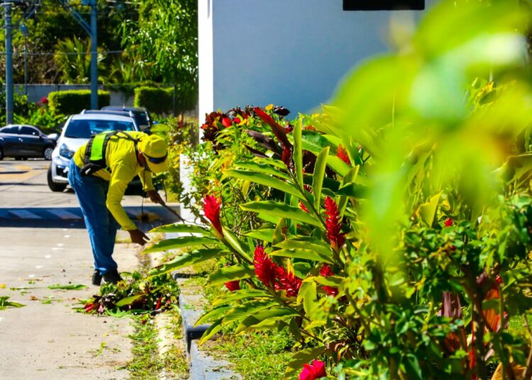 Privados de libertad trabajan en mantenimiento de zonas verdes en el Hospital Nacional Zacamil