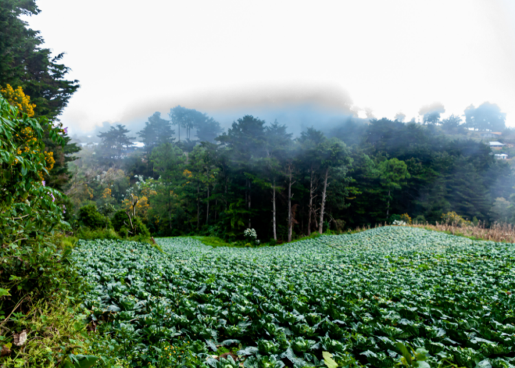 Gobierno construirá CUBO rural en RECETO Chalatenango