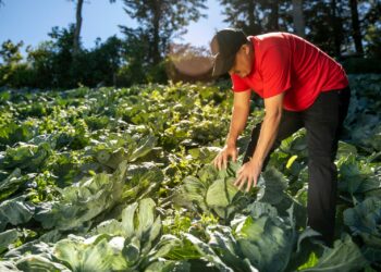«Queremos que los productores se conviertan en empresarios»: Ministro de Agricultura