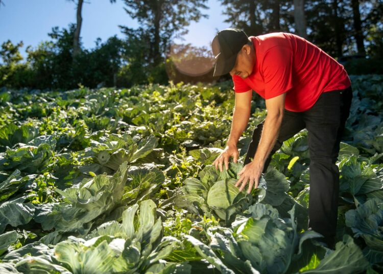 «Queremos que los productores se conviertan en empresarios»: Ministro de Agricultura