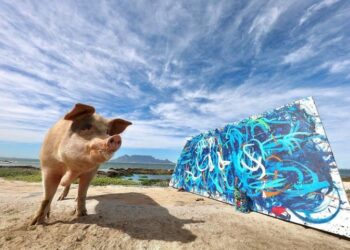 Pigcasso, una reconocida cerda pintora, se convierte en la artista animal mejor cotizada de la historia tras vender un cuadro por 27.000 dólares