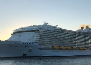 Detectaron más de 40 casos de COVID-19 en un crucero que llegó a Miami