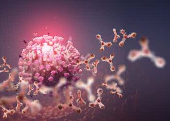 Científicos identifican un grupo de anticuerpos capaces de neutralizar la variante ómicron