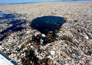 Un mapa animado muestra el flujo del plástico oceánico