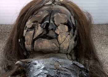 Huevos de piojos con ADN de momias sudamericanas de hace 2.000 años revelan detalles sobre cómo vivieron y murieron esas personas