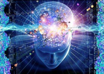 Crean “cerebro ciborg” que es superior a cualquier inteligencia artificial actual