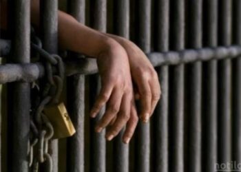 Reporteros sin Fronteras registra récord de periodistas detenidos en el mundo