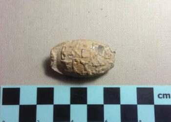 Descubren en Cisjordania un «inusual» proyectil de plomo de hace 2.000 años con inscripciones griegas