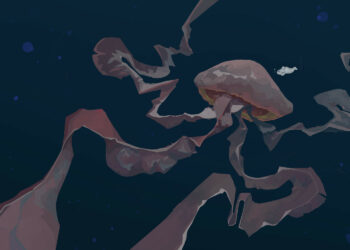 (VIDEO) Una medusa fantasma gigante que atrapa a sus presas con «brazos bucales» de 10 metros es vista frente a la costa de California