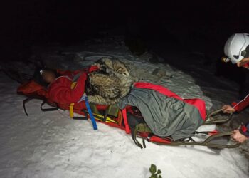 Un perro salva a un montañista herido al mantenerlo caliente con su cuerpo durante 13 horas