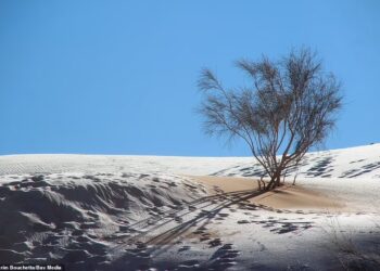Una nevada tiñe de blanco las dunas en la ‘puerta de entrada al desierto’ del Sáhara