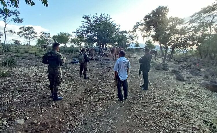 PNC y Fuerza Armada realizan patrullajes preventivos en zonas rurales del país