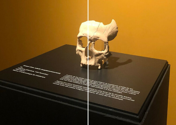 «Hallazgo excepcional»: Encuentran en España el cráneo seccionado de un íbero de hace 2.200 años que permitirá reconstruir el origen de estos grupos