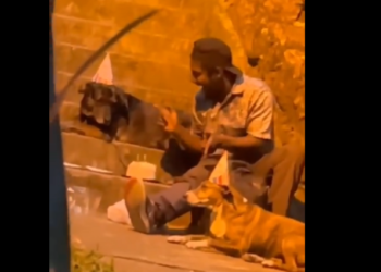 Video de sujeto celebrando cumpleaños con perritos en la calle enternece las redes