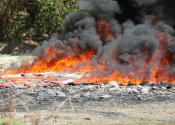 Fiscalía destruye droga valorada en más de $13 millones