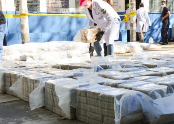 Destruyen más de 4 mil kilos de droga incautada por la Fuerza Naval
