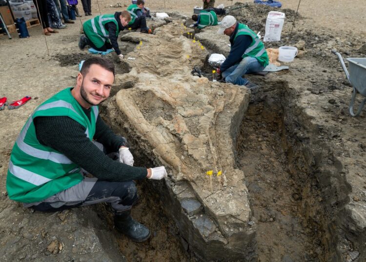 Encuentran los restos del ‘dragón marino’ más grande jamás excavado en el Reino Unido